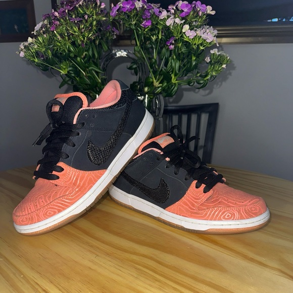 Nike Dunk Low Premium SB Premier Fish Ladder DS High Retro 313170